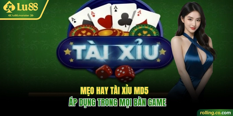 Mẹo hay áp dụng trong cách chơi Tài Xỉu MD5